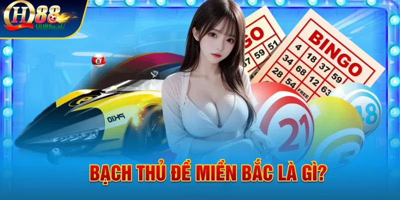 Bạch thủ đề miền Bắc là gì?